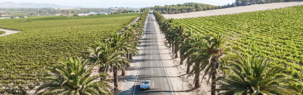 Barossa Valley vineyards